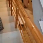 Sultangazi’de iki kadının "ortak alan" tartışması kamerada: Pazar arabasını dışarıya attı