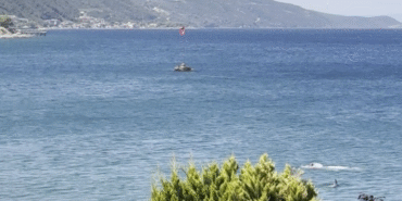 Yalova’da yunusun yüzen vatandaşla burun buruna geldiği anlar kamerada