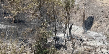 Bakan Yardımcısı Polat, Geyve yangınındaki son durumu açıkladı