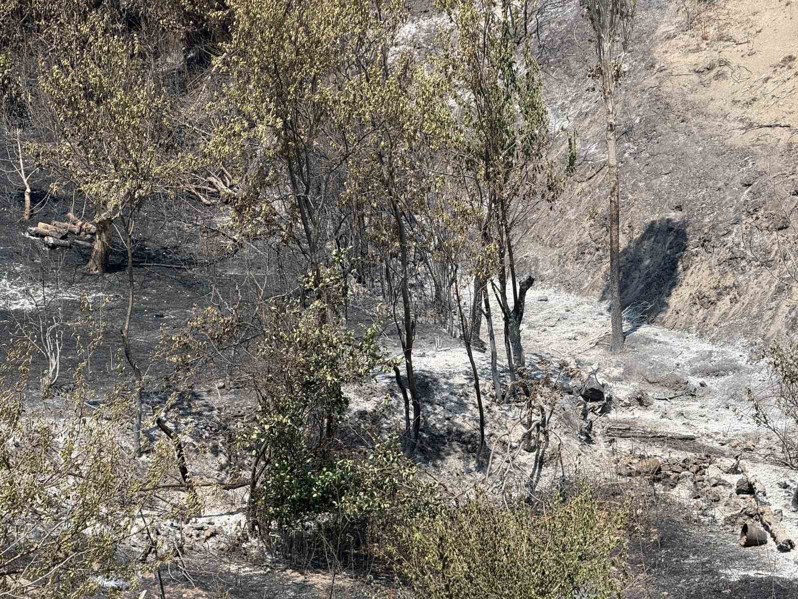 Bakan Yardımcısı Polat, Geyve yangınındaki son durumu açıkladı