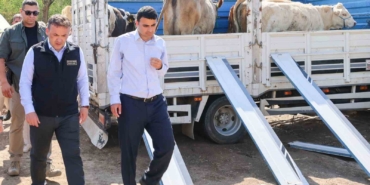 Yangın sonrası üreticilere büyükbaş ve küçükbaş hayvan desteği sağlandı
