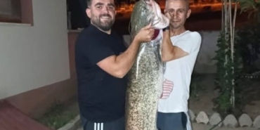 Bilecik’te dev yayın balığını tutuldu