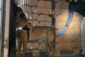 Osmangazi Köprüsü girişinde 9 kilo kokain maddesi ele geçirildi