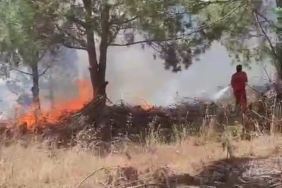 Bursa’da ağaçlık alanda çıkan yangına müdahale ediliyor