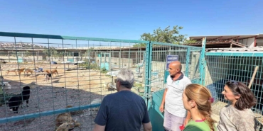 Bandırma Belediyesi’nden sokak hayvanları için yeni yaşam alanı çalışması