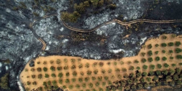 Geyve orman yangınından geriye kalanlar