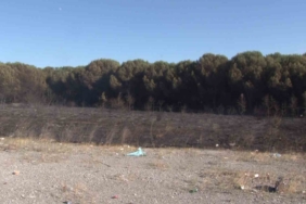 Tuzla’da otluk alanda çıkan yangın ormana sıçramadan söndürüldü