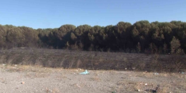 Tuzla’da otluk alanda çıkan yangın ormana sıçramadan söndürüldü