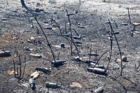 Yangının ardından utanç manzarası