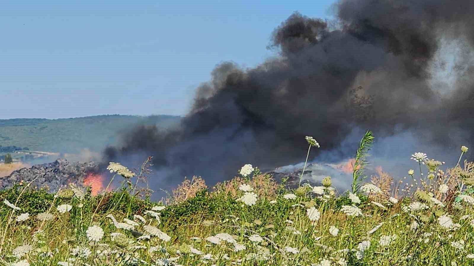 Bursa’da çiftlikte çıkan yangın 3 yere sıçradı