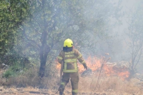 Balıkesir İtfaiyesi 12 günde 971 yangına müdahale etti