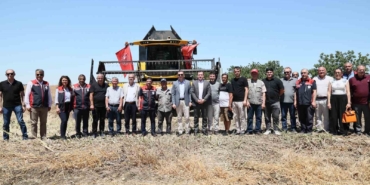 Silivri’de konala ve buğday hasadı başladı