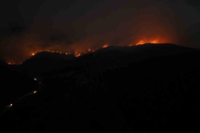 Sakarya’daki orman yangınında 28’inci saat: Alevlerin boyutu hava kararınca ortaya çıktı