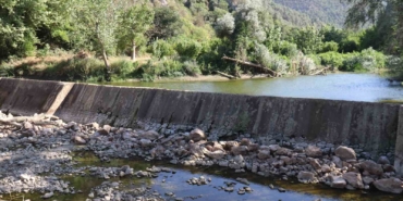 Kuraklık ve orman yangınları Düzmeşe Benti’nin adeta kuruttu