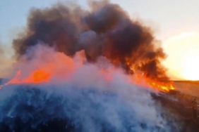 Alev alev yanan buğday tarlasını söndürmek için seferber oldular