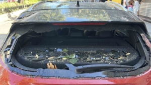 Üsküdar’da park halindeki aracın üzerine ağaç devrildi