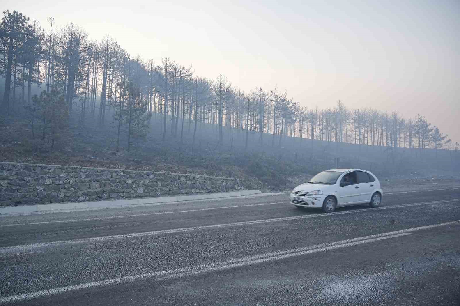 Bursa’daki orman yangını 3. gününde... Gökyüzünü kaplayan duman bulutundan göz gözü görmüyor