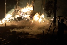 Bilecik’te dün gece başlayan yangında 95 hayvan telef oldu