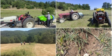 Bursa’da çekirge ile mücadele başladı