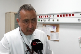 KLİMİK Derneği Başkanı Prof. Dr. Aygün’den ‘kene’ açıklaması: "Başvuruların büyük bir kısmı temel noktalardaki bilgisizlikten kaynaklanıyor"