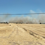 Ezine’de tarım arazisinde yangın