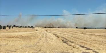 Ezine’de tarım arazisinde yangın