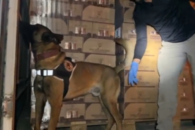 TEM’de durdurulan araçtan 9 kilo kokain ele geçirildi