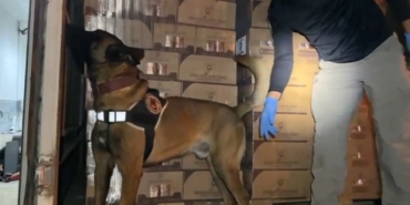 TEM’de durdurulan araçtan 9 kilo kokain ele geçirildi