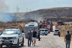 Bandırma’da 3 noktada aynı anda çıkan yangın ormana sıçramadan kontrol altına alındı