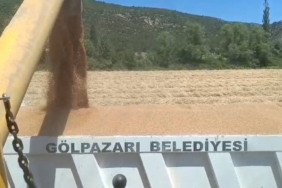 Tarım arazilerinde hasat sevinci