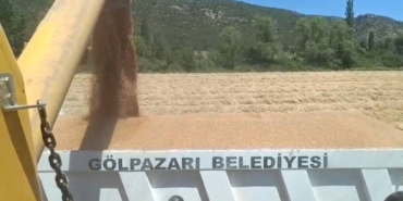 Tarım arazilerinde hasat sevinci