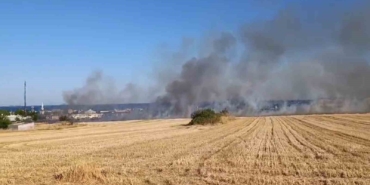 Yol kenarına atıdığı iddia edilen izmarit yangın çıkardı: Tekirdağ-İstanbul yolu dumanlarla kaplandı