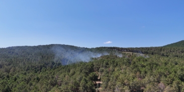 Pendik’te ormanlık alanda çıkan yangına müdahale ediliyor