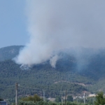Bilecik’teki orman yangınında alevler Borcak köyüne doğru ilerliyor
