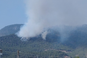 Bilecik’teki orman yangınında alevler Borcak köyüne doğru ilerliyor