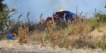 Tekirdağ’da anız yangını ormanlık alana sıçradı