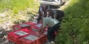 Kene ile mücadele timleri doğaya salındı