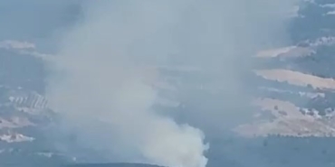 İznik’te orman yangını