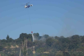 Çanakkale’de tarım arazilerinde çıkan yangın kontrol altına alındı
