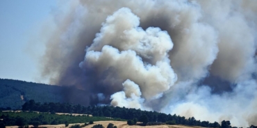 Edirne Keşan’da orman yangını