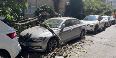 Kurumuş ağaç dalı aracın üzerine düştü: Vatandaş son anda kurtuldu