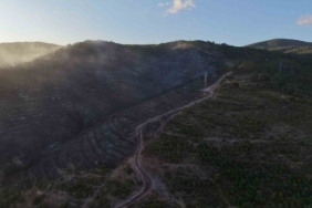 Kocaeli’deki orman yangını söndürüldü