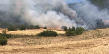 Yenişehir’de buğday tarlasında çıkan yangın ormana sıçradı