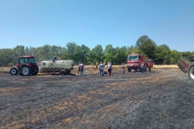 Buğday tarlasında çıkan yangında 10 dönümlük alan zarar gördü
