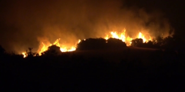 Şarköy’de orman yangını 10 saattir sürüyor