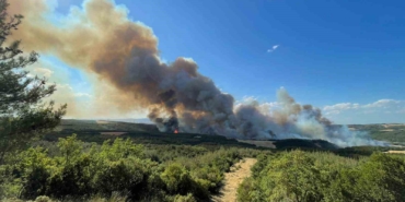 Tekirdağ’da orman yangını