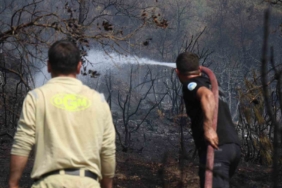 Sakarya-Bilecik sınırında alevler yeniden yükseldi: Hızlı müdahale yayılmayı önledi