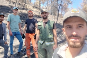 Ormanlar yeniden doğuyor: Geyve’de fidan mesaisi başladı