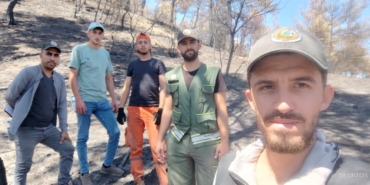 Ormanlar yeniden doğuyor: Geyve’de fidan mesaisi başladı