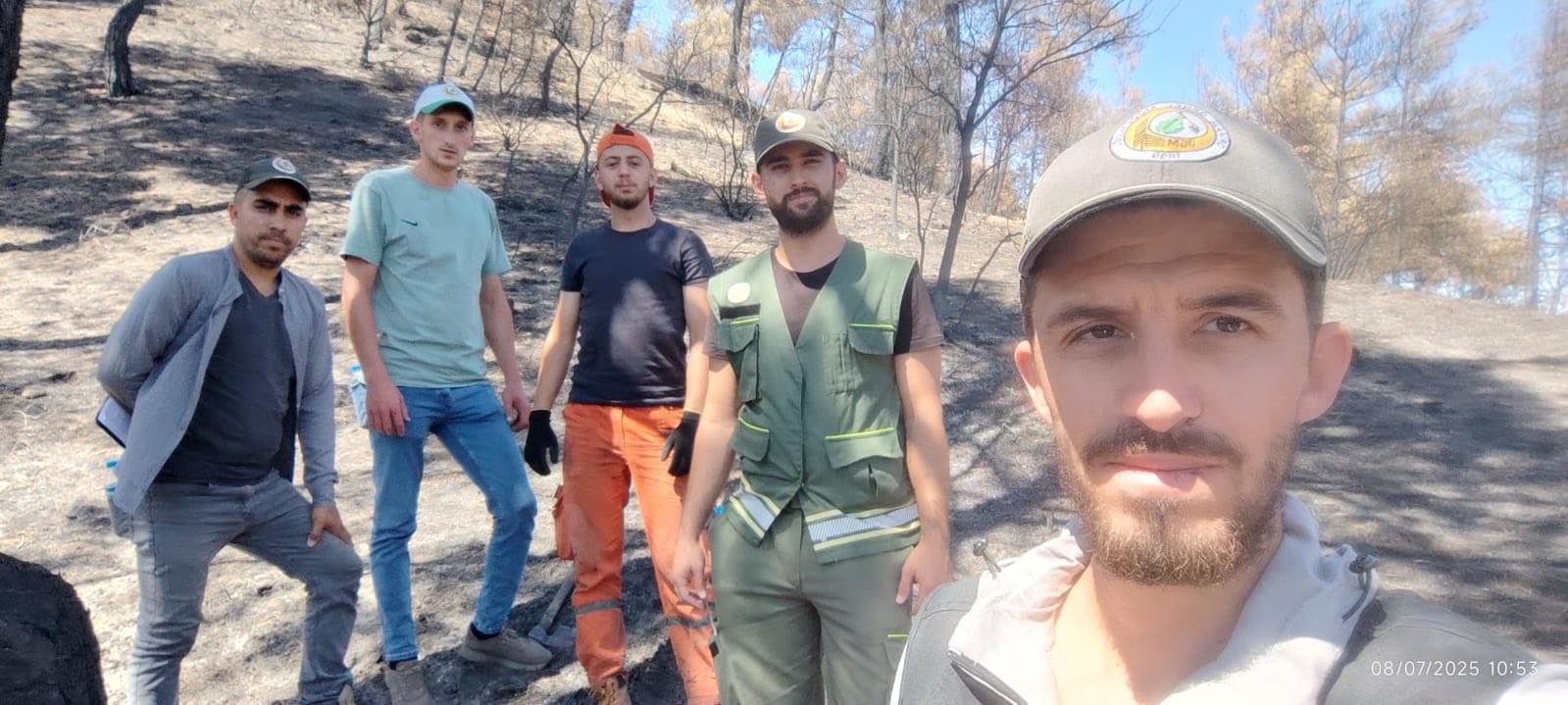 Ormanlar yeniden doğuyor: Geyve’de fidan mesaisi başladı